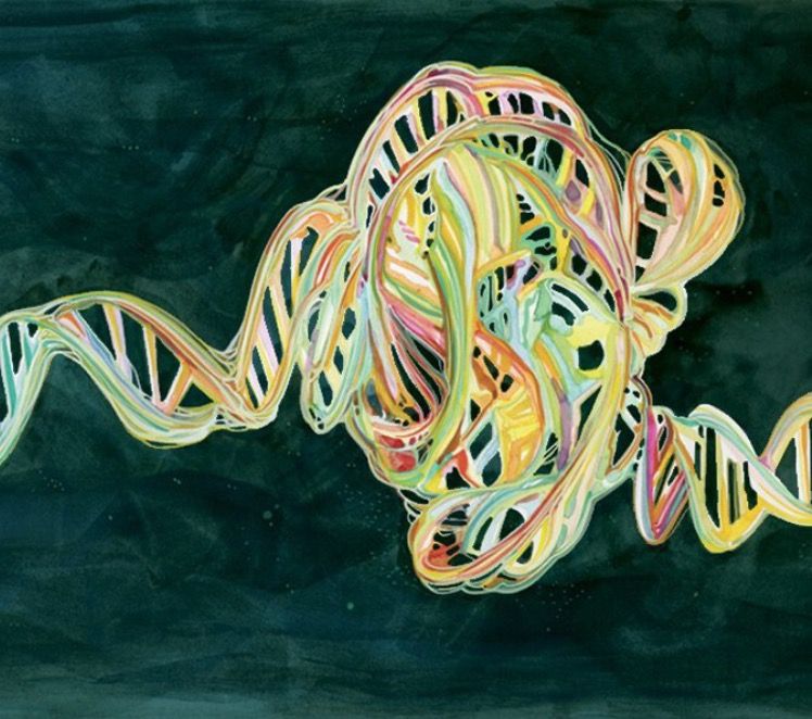 Watercolor DNA helix, metaphor for matcha and tea